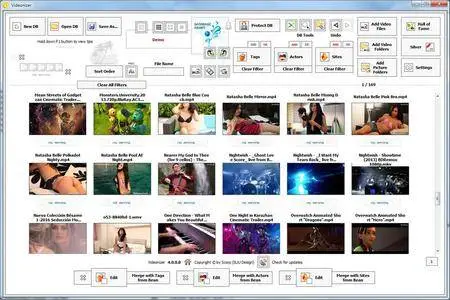 Videonizer Platinium 4.0.0.2 Multilingual