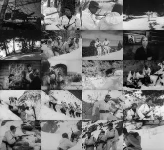Ski Troop Attack (1960)