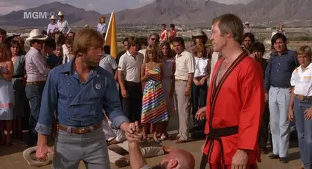 Lone Wolf McQuade (1983)