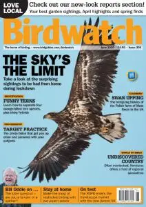 Birdwatch UK - Issue 336 - June 2020