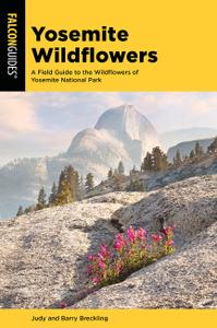 Yosemite Wildflowers: A Field Guide to the Wildflowers of Yosemite National Park (Wildflower)