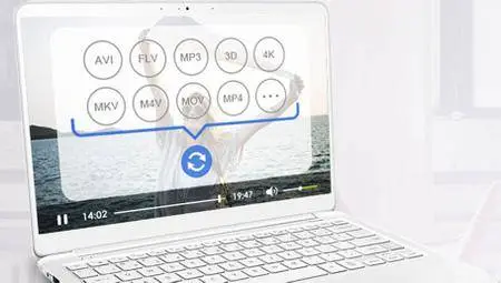 VideoSolo Video Converter Ultimate 1.0.6 Multilingual