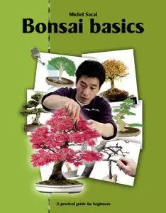Bonsai Basics: A practical guide for beginners