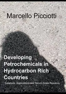 Developing Petrochemicals in Hydrocarbon Rich Countries