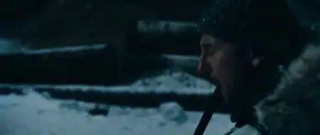 Le Territoire des Loups / The Grey (2012)