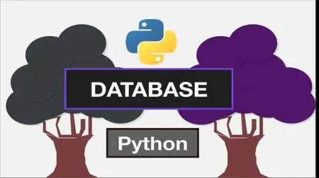 Python Database: Quickly learn Python Database