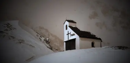 Виталий Василевский. Фото природы
