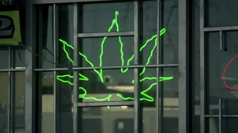 BBC This World - America's Stoned Kids (2013)