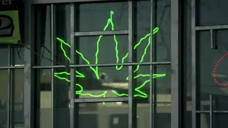 BBC This World - America's Stoned Kids (2013)