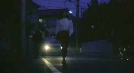Lesbian Rape: Sweet Honey Juice (1991)