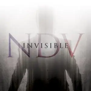 Nick D'Virgilio - Invisible (2020)