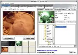 Webcam XP Pro 2006 ver. 2.30.450