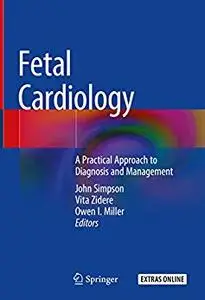 Fetal Cardiology: A Practical Approach to Diagnosis and Management