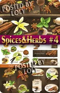 Spices and Herbs #4 - Stock Vector