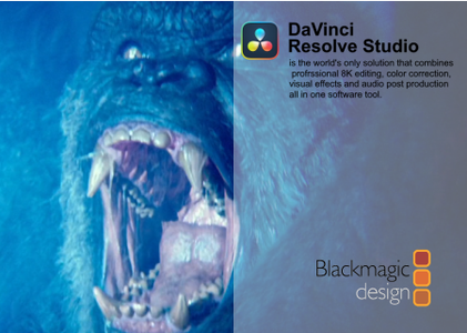 Blackmagic Design DaVinci Resolve Studio 17.4.6