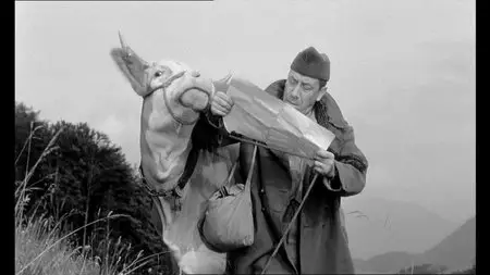 La vache et le prisonnier (1959)