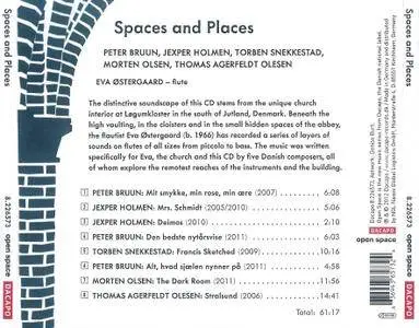 Eva Ostergaard - Spaces And Places: Bruun, Holmen, Olsen, Snekkestad, Agerfeldt Olesen (2012)