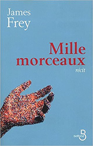 Mille morceaux - James FREY