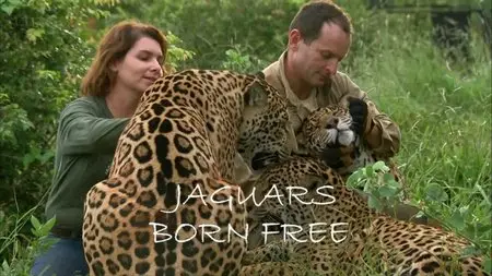 BBC Natural World: Jaguars - Born Free (2013)