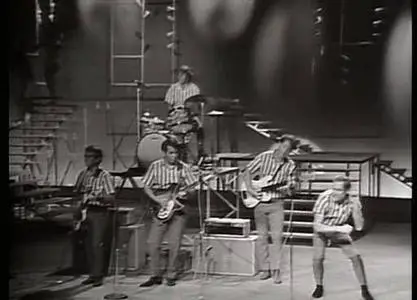 (Docu) The BEACH BOYS - An American Band [DVDrip] 1985 VOstf (Re-post)