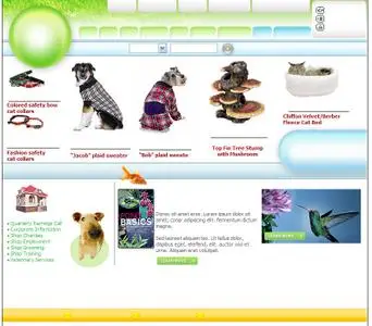 Full HTML Template (html + psd) - Dogs 