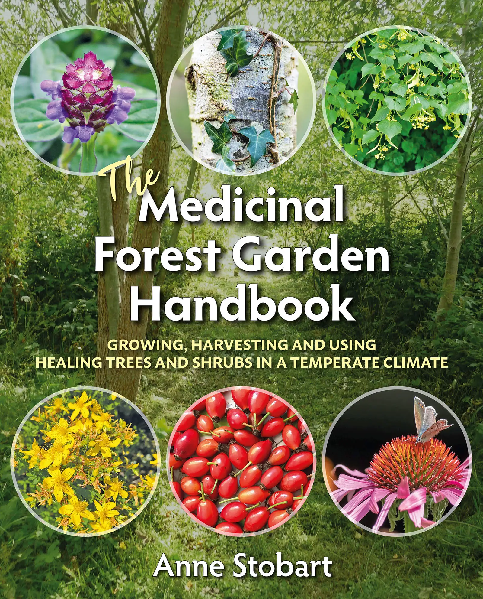 The Medicinal Forest Garden Handbook: Growing, harvesting and using healing trees and shrubs in a temperate climate