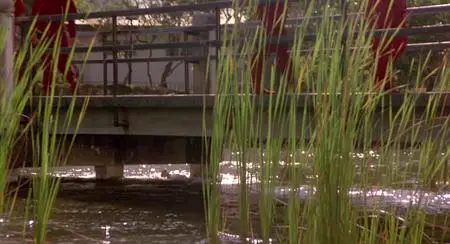 Enter the Ninja (1981)