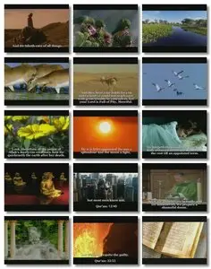 ALLAH - The Lord Of The Worlds 