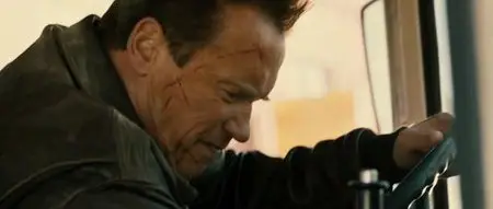 The Last Stand - L'Ultima Sfida (2013)