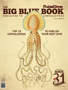 Asian Diver - The Big Blue Book 2025