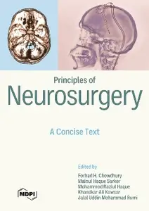 Principles of Neurosurgery: A Concise Text