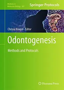 Odontogenesis: Methods and Protocols