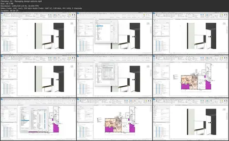 BIM Management: Revit Model Maintenance