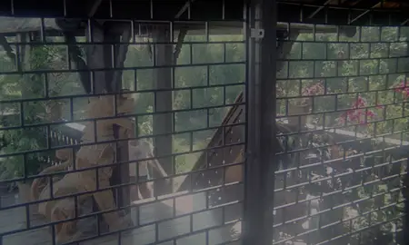 Emmanuelle (1974) [Director's Cut]