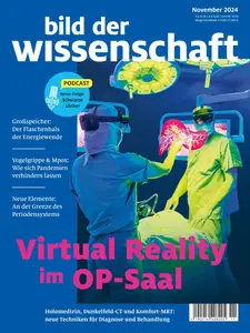 Bild der Wissenschaft - November 2024