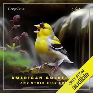 American Goldfinch and Other Bird Songs: Nature Sounds for Study and Meditation