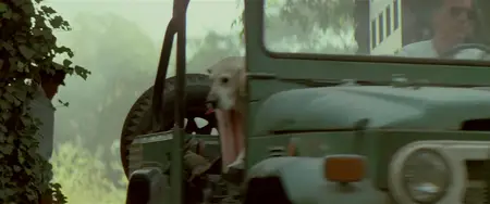 Revenge (1990)