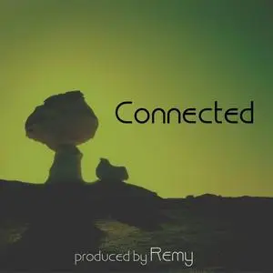 Remy Stroomer - Connected (2003)