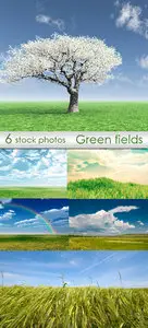 Green fields