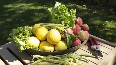 Vegetable Gardening: How to Grow Healthy, Fresh Food at Home (Repost)