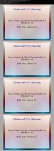 Max Profit Marketing - How to Double Your Business Profits (2016)