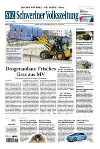 Schweriner Volkszeitung Zeitung für Lübz-Goldberg-Plau - 05. November 2019