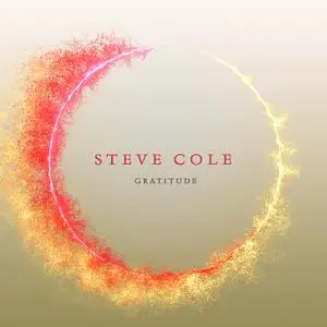 Steve Cole - Gratitude (2019)