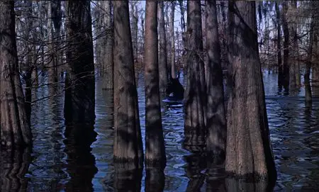 The Horse Soldiers (1959)