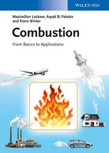 Combustion: from Basics to Applications