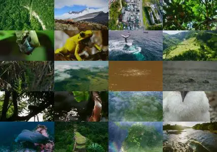 Wild Colombia Revealed (2016)