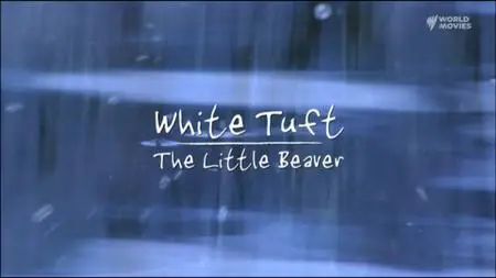 White Tuft The Little Beaver (2008)