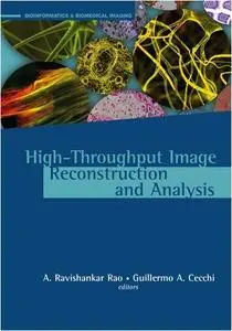 High-throughput image reconstruction and analysis