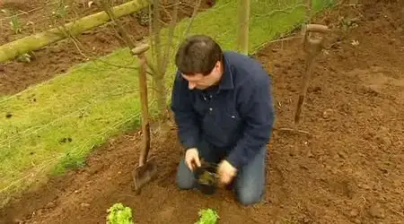 How To Be A Gardener - Series 1 (2002)