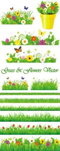 Green Grass with Flowers Vector
